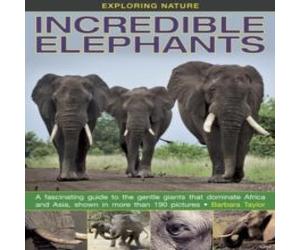 Barbara Taylor Exploring Nature: Incredible Elephants Hardback Book Barbara Taylor Multicolor