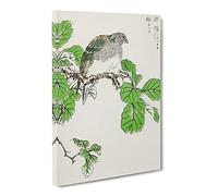 Barbary Dove & Oak Tree By Numata Kashu Asian Japanese Canvas Wall Art Print Ready to Hang, Framed Picture for Living Room Bedroom Home Office Décor, 24x16 Inch (60x40 cm)