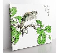 Barbary Dove & Oak Tree by Numata Kashu Asian Japanese Canvas Wall Art Print Ready to Hang, Framed Picture for Living Room Bedroom Home Office Décor, 50x50 cm (20x20 Inch)