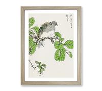 Barbary Dove & Oak Tree By Numata Kashu Asian Japanese Framed Wall Art Print, Ready to Hang Picture for Living Room Bedroom Home Office Décor, Oak A2 (64 x 46 cm)