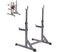 Barbell Rack Dip Stand Barbell Stand Weight Lifting Rack Gym Dumbbell Stand and Squat Stand Height Adjustable Dumbbell Stand Squat Stand Barbell Stand Barbell S