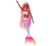 Barbie A Touch of Magic Doll and Accessories