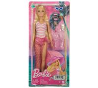 Barbie Doll and Accessories