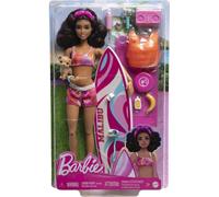 Barbie Surf + Accy Doll Pink
