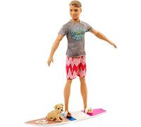 Barbie BRB Delfine Surfer Ken