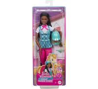 Barbie "Brooklyn" Doll & Accessories from Barbie Mysteries: The Great Horse Chase, Includes Fashion Doll, Removable Riding Outfit & Helmet