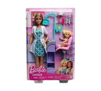 Barbie Careers Dentist Doll and Playset with Accessories
