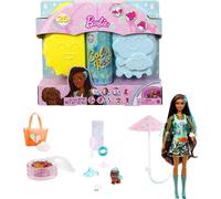 Barbie Color Reveal Sunshine & Sprinkles Dolls and Accessories