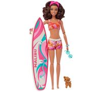 Barbie Surf + Accy Doll Pink