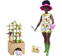 Barbie Doll and Accessories