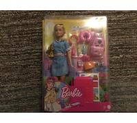 Barbie Dreamhouse Adventures Doll & Accessories