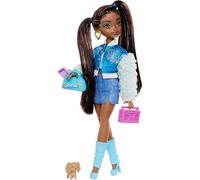 Barbie Dream Besties Brooklyn Doll