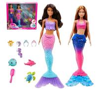 Barbie Dreamtopia Ocean Adventure Dolls and Accessories