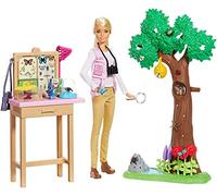 Barbie Entomologist Doll and Playset