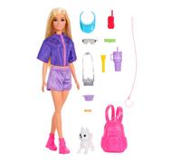 Barbie Family & Friends Malibu Doll
