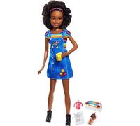 Barbie FHY91 Dolls and Accessories, Multi-Colour