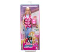 Barbie Mysteries The Great Horse Chase Doll