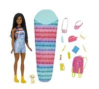 Barbie Dreamhouse Adventures Doll and Accessories