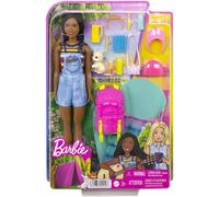 Barbie Dreamhouse Adventures Doll and Accessories