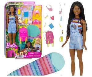 Barbie It Takes Two Camping Brooklyn Doll with Puppy Official Mattel