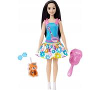Barbie. My First Barbie Doll Renee HLL22
