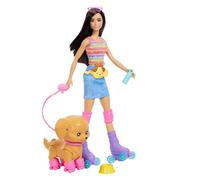Barbie Pets Skate and Run Brunette Doll | Skating Puppy, Leash, Mat ching Skates, Sunglasses, and Pet Accessories, JMJ45