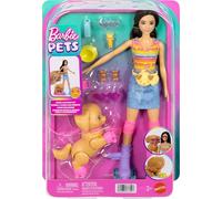 Barbie Pets Skate and Run Brunette Doll with Skating Puppy, Leash, Mat ching Skates, Sunglasses, and Pet Accessories, JMJ45