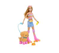 Barbie Skate And Run Pup Doll With Skating Puppy, Roller Skates And Pet Accessories One Colour