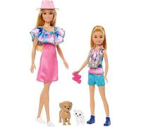 Barbie Doll and Accessories