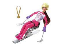 Barbie Mattel Alpine Skier Athlete Monoskier With Stabilizers Jointed