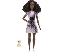 Barbie You Can Be Anything Hcn10 Pet Photographer Doll (Dvf50)