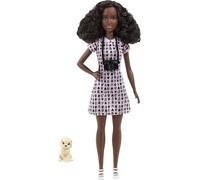 Barbie You Can Be Anything - Pet Photographer Doll With Camera Accessory