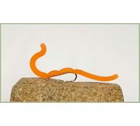 Barbless Orange Squirmy Worm Flies, Trout Flies, Size 10 Spandex favourites, Top selling. (12)