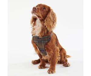 Barbour Classic Tartan Travel & Exercise Harness - Brown Check - Size: Medium