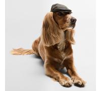 Barbour Dog Wax Flat Cap S-M