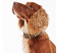 Barbour Leather Dog Collar - Brown - Size: Small