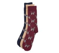 Barbour Mens Pointer Dog Socks Gift Box - Burgundy - Size: Large