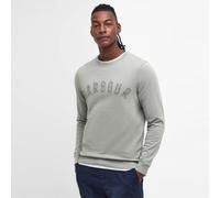 Barbour Mens Washed Prep Logo Jumper - Light Green - Size: X Large