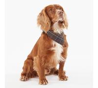 Barbour Tartan Bandana for Dogs - Green Check - Size: Large