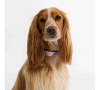 Barbour Tartan Printed Dog Collar - Pink Check - Size: Small
