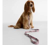 Barbour Tartan Printed Dog Lead - Pink Check
