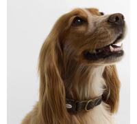 Barbour Tartan & Webbing Dog Collar - Size: Large