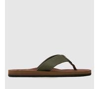 Barbour Toeman Beach Flip Flop Sandals in Khaki UK 8 (EU 42)
