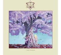 Iterum Nata - Bardo Disorder (LP) [VINYL]