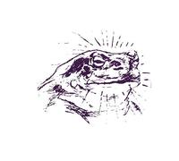 Bardo Pond - Bufo Alvarius