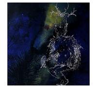 Bardo Pond - Under The Pines [VINYL]