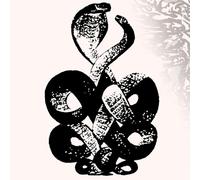 Bardo Pond - Volume 4 & 5 [VINYL]