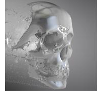 BardSpec Hydrogen (Vinyl) 12" Album