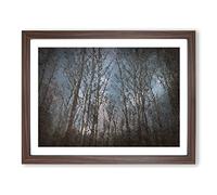 Bare Trees At Twilight In Abstract Modern Art Framed Print | A4 Walnut Framed Wall Art | Ready to Hang | Abstract Floral Picture | Living Room Bedroom Lounge Office