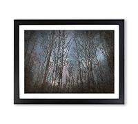 Bare Trees At Twilight In Abstract Modern Art Framed Wall Art Print, Ready to Hang Picture for Living Room Bedroom Home Office Décor, Black A3 (46 x 34 cm)